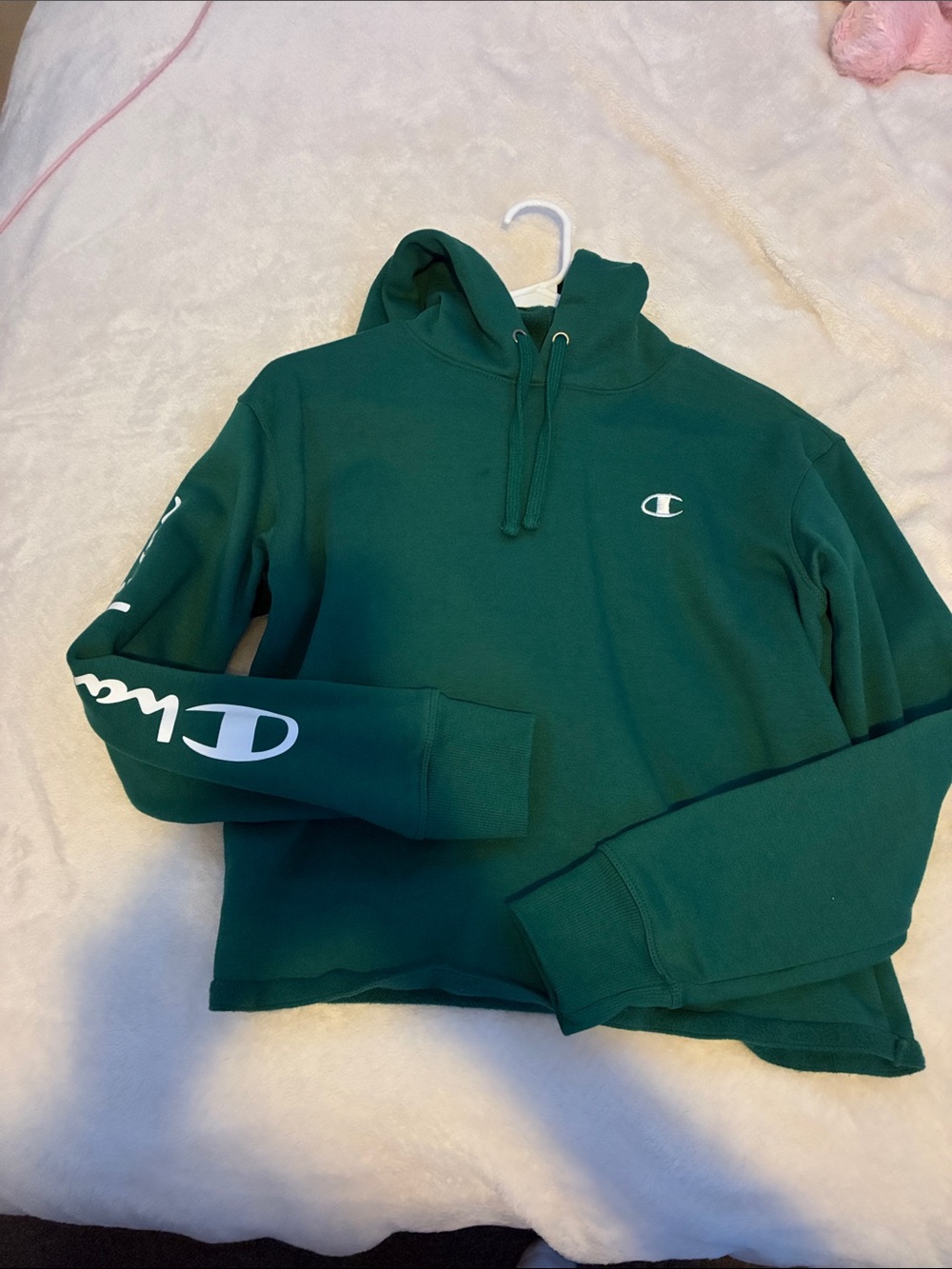 Champion green hoodie